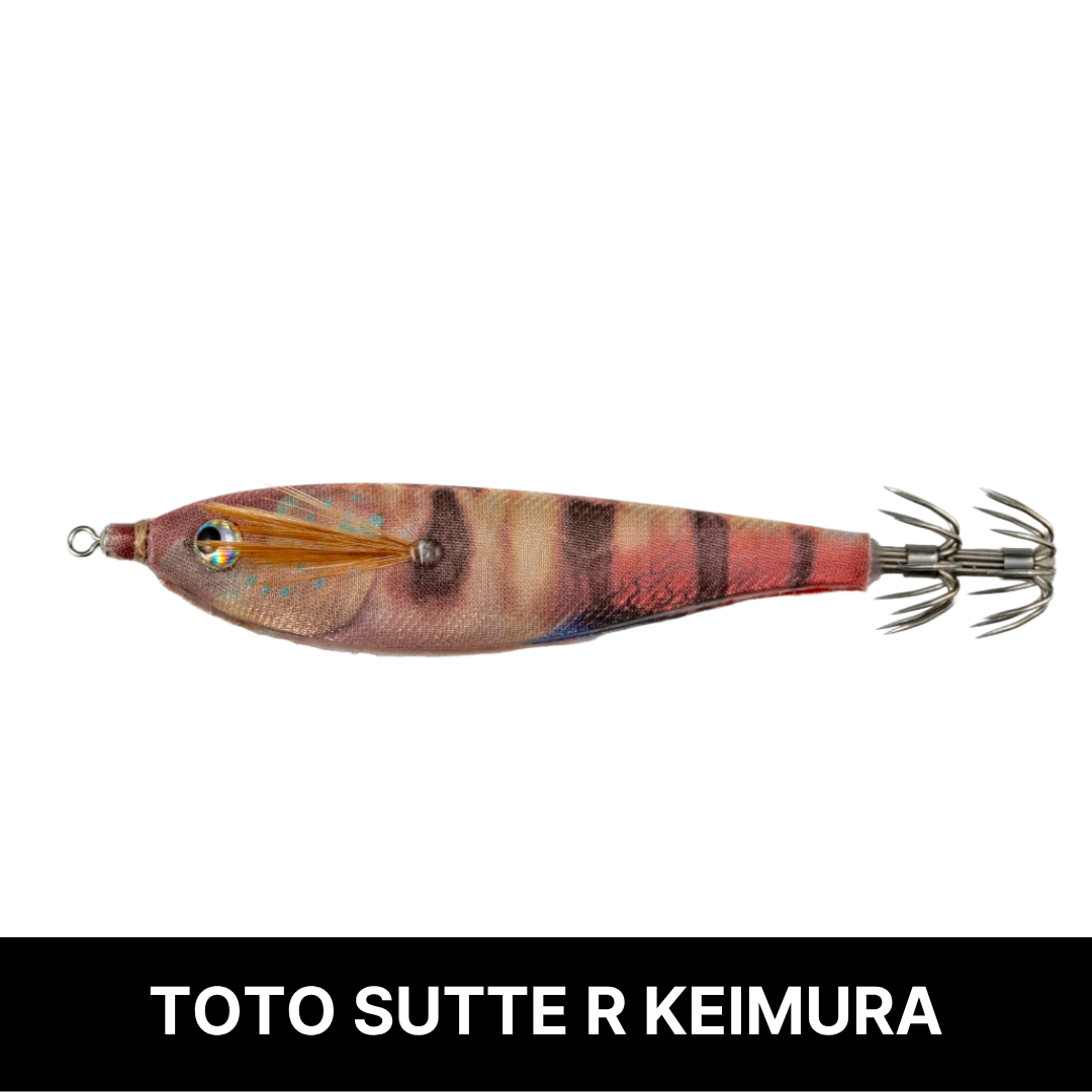 토토슷테 R 네츄럴 모델 WS70NC