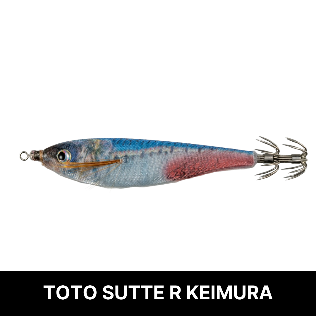 토토슷테 R 네츄럴 모델 WS70NC