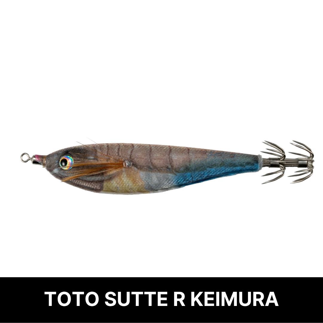 토토슷테 R 네츄럴 모델 WS70NC