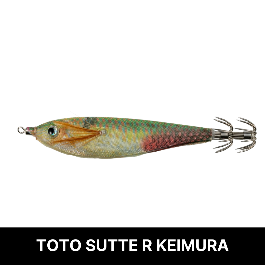 토토슷테 R 네츄럴 모델 WS70NC