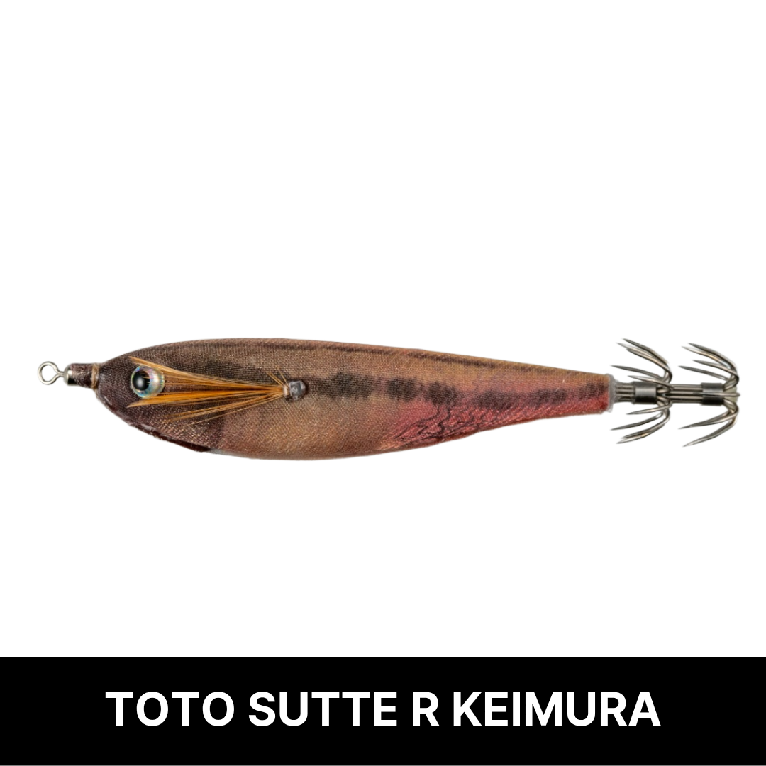 토토슷테 R 네츄럴 모델 WS70NC