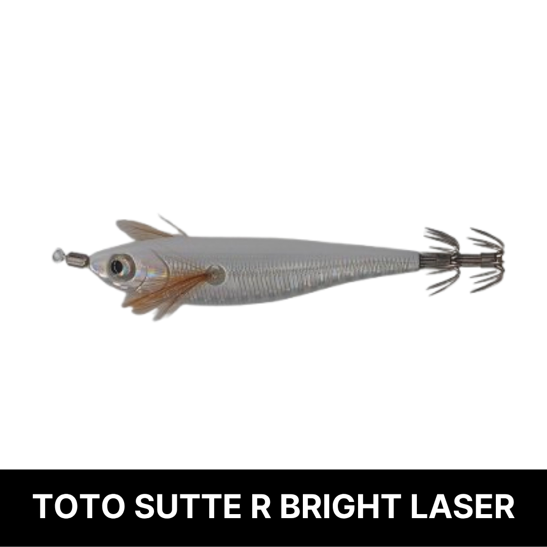 토토슷테 R WS95BL 브라이트레이져