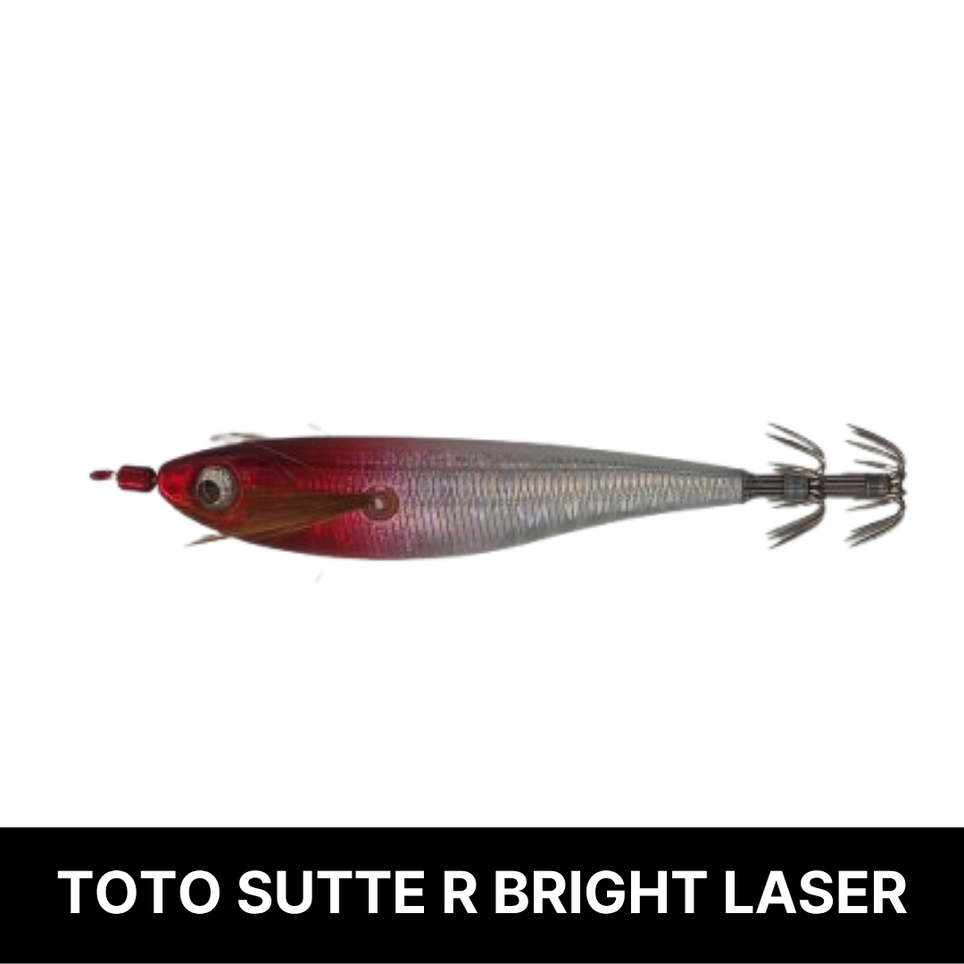 토토슷테 R WS95BL 브라이트레이져