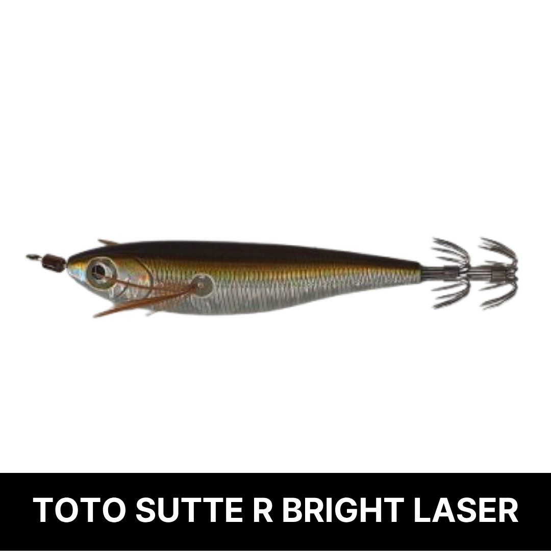 토토슷테 R WS95BL 브라이트레이져