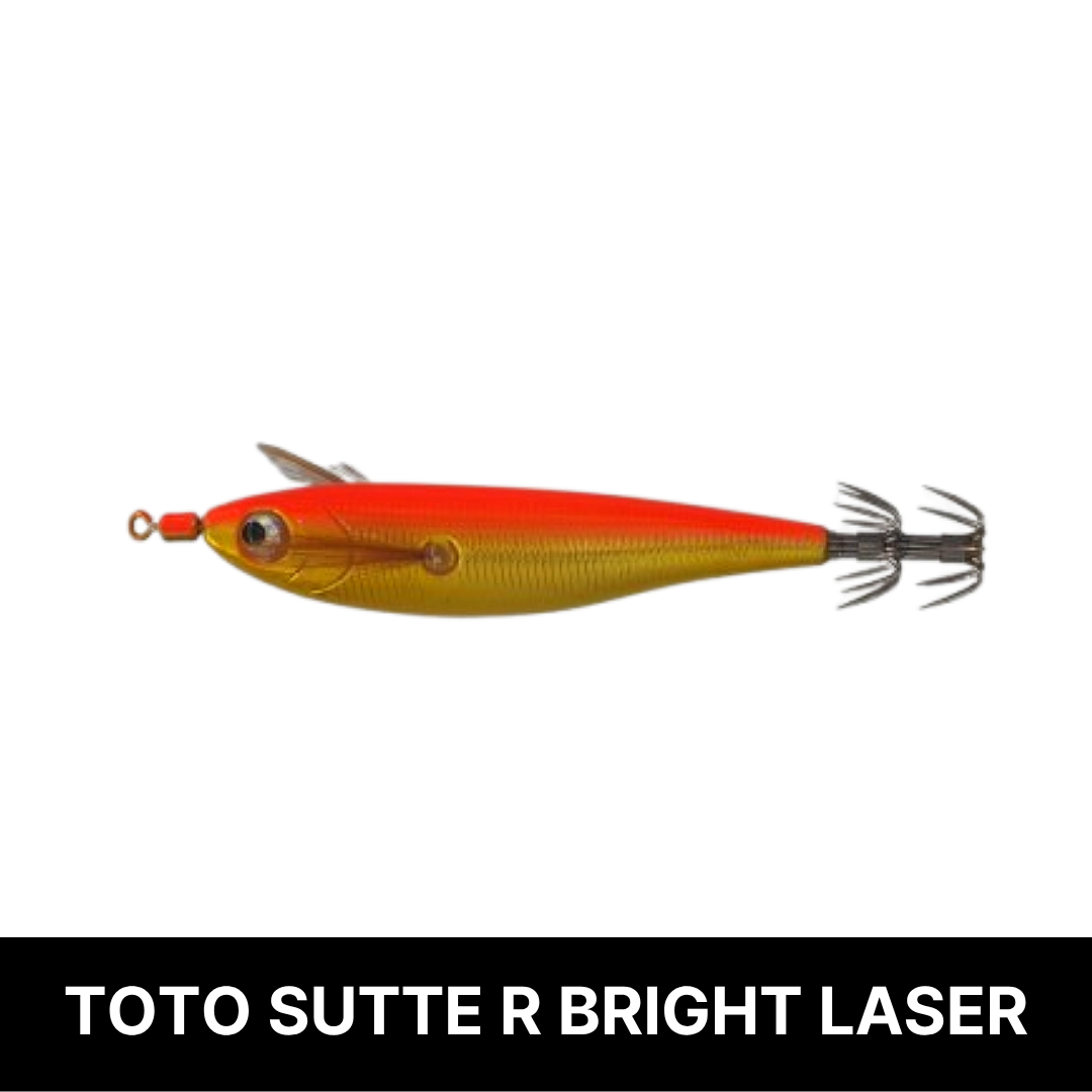 토토슷테 R WS95BL 브라이트레이져