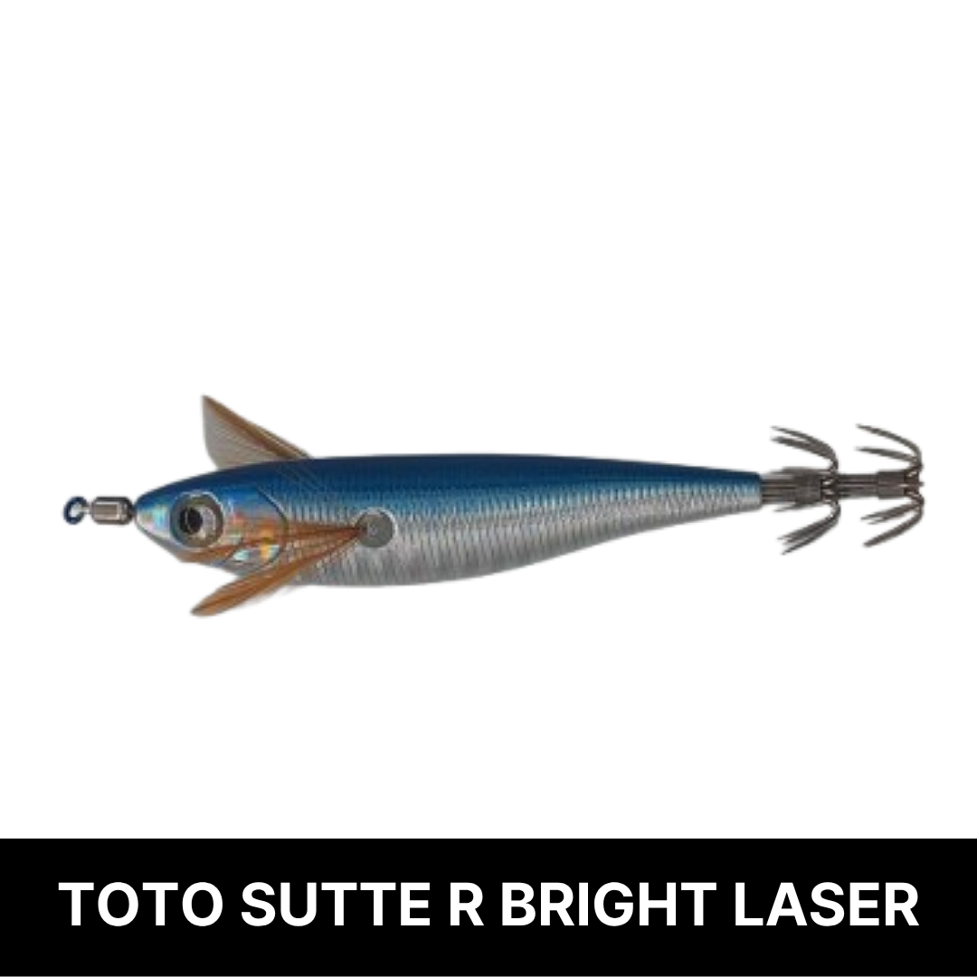 토토슷테 R WS95BL 브라이트레이져