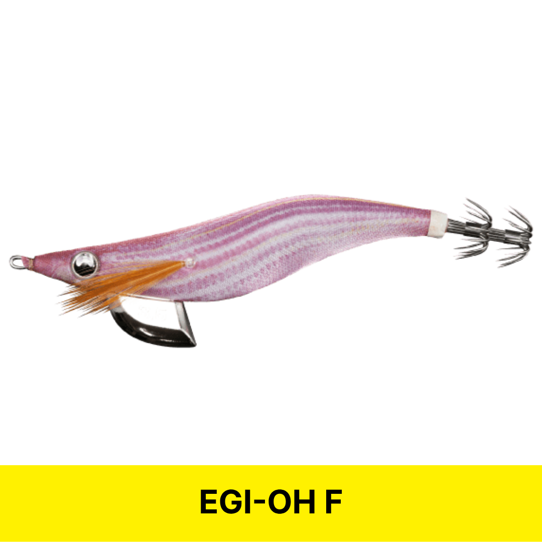 [2025년 신상품] 에기왕 F 3호 베이직