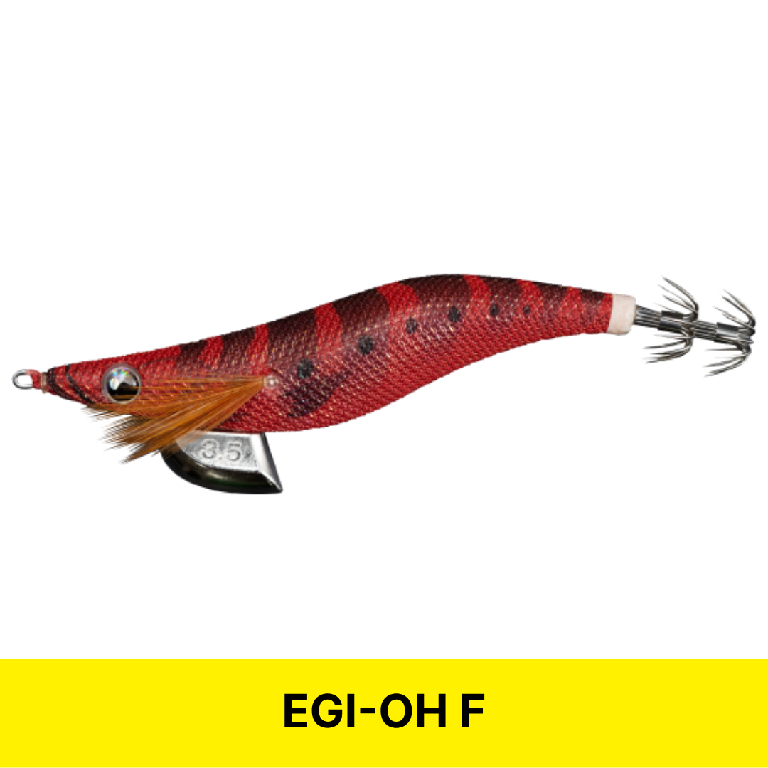 [2025년 신상품] 에기왕 F 3.5호 베이직